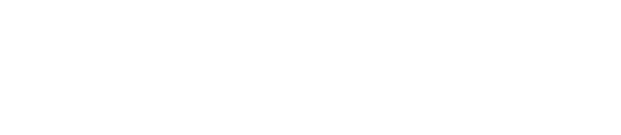 Kind Traveler
